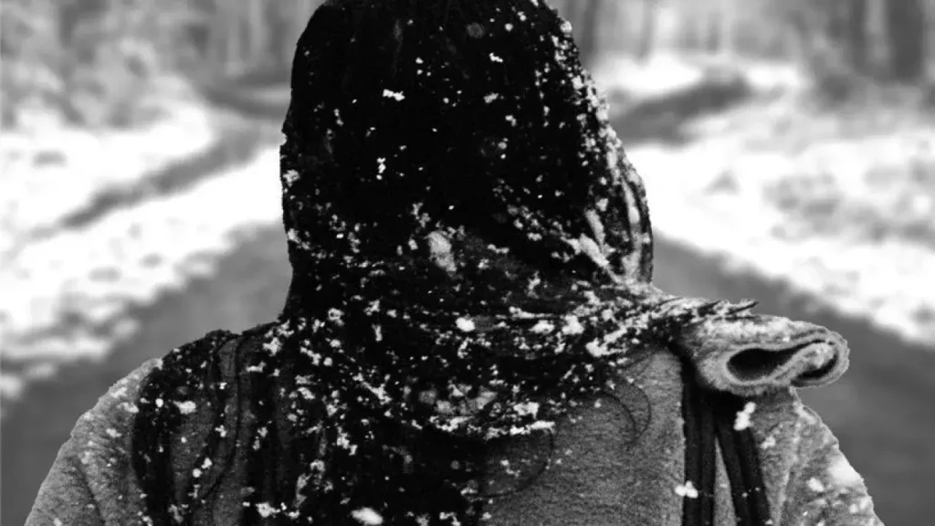 Person walking in the snow, with snowflakes clinging to their hair and coat.